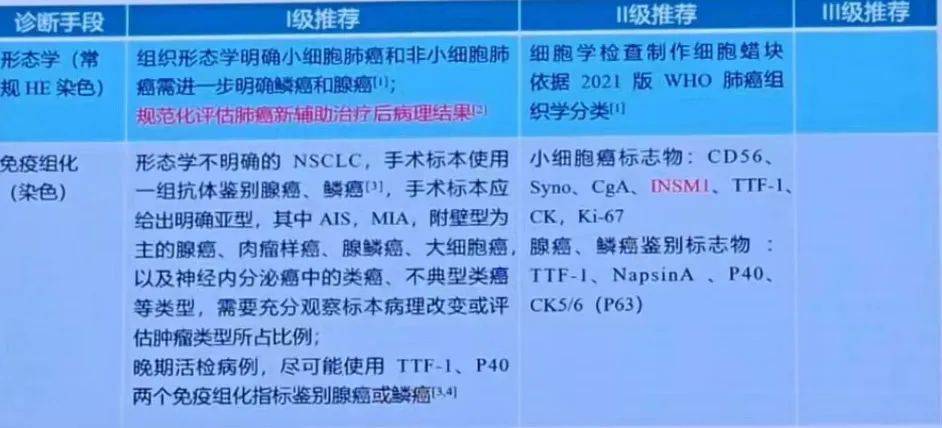 锦江i学苹果版:2023 CSCO 非小细胞肺癌诊疗指南更新亮点